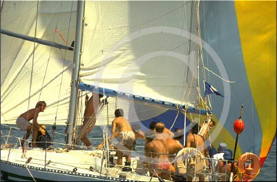 25-cd-19-vari-sport