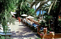       Hotel Marbella Club
Club de Playa - Beach Club 