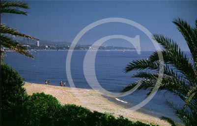 photo 01 - 05