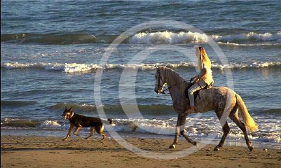photo 01 - 17