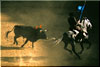  Rejoneo Plaza de Toros Puerto Ban&uacute;s
Bullfight by horse - Bullring Puerto Banus