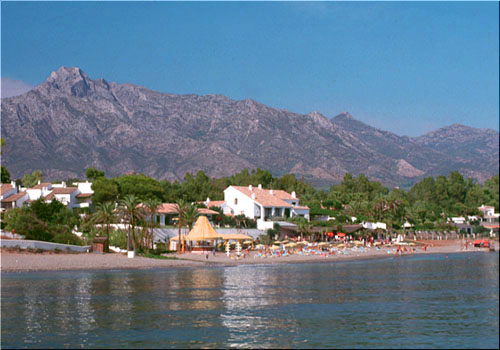 Photograph taken in 1984 by expert Michael Reckling