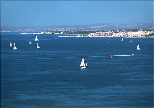 Photograph taken in 1984 by expert Michael Reckling